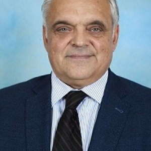 Шамиль Махмутович Сафин