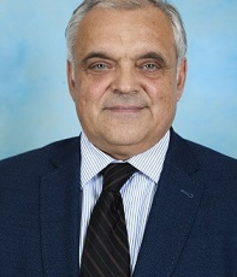 Шамиль Махмутович Сафин
